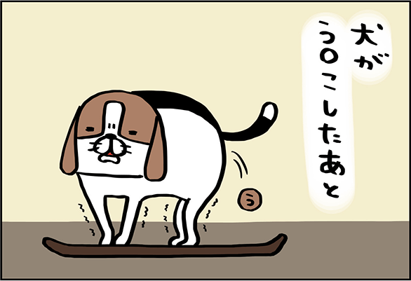 犬がう○こしたあと