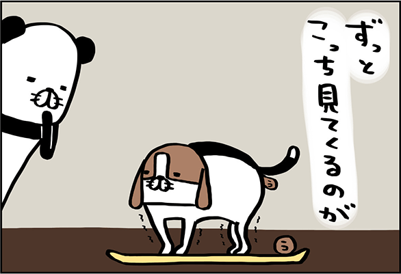 ずっとこっち見てくるのが