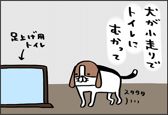 犬が小走りでトイレにむかって
