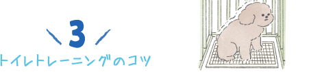 3.トイレトレーニングのコツ