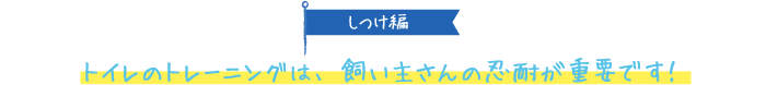 【しつけ編】トイレのトレーニングは、飼い主さんの忍耐が重要です！
