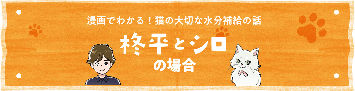 漫画でわかる！猫の大切な水分補給の話～柊平とシロの場合