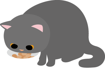 教えて先生！猫の水分補給の話
