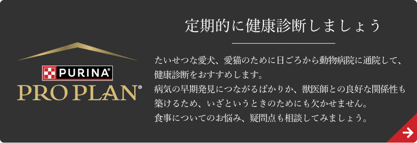 お客さまのペットライフをより楽しく、便利に。安心・安全の豊富な品揃え。ペテモオンラインストア