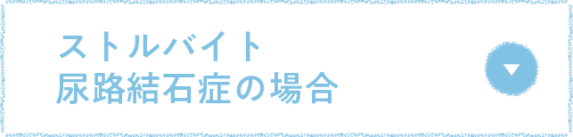ストルバイト尿路結石症の場合