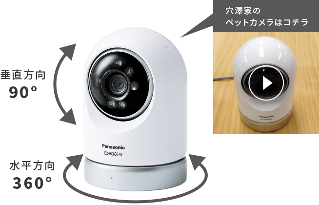 人気ライター穴澤さん直伝！ ペットカメラ活用術 | いぬのきもちweb