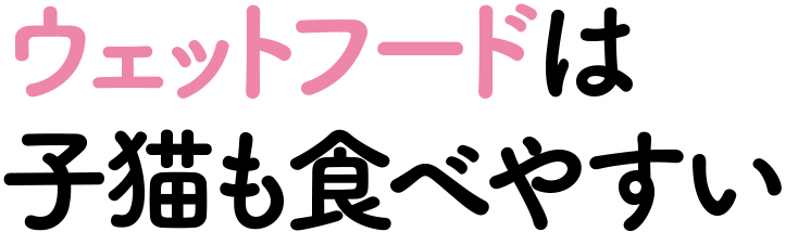 ウェットフードは子猫も食べやすい