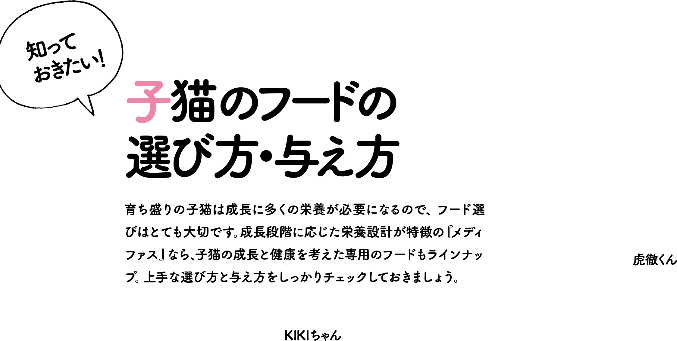 知っておきたい！子猫のフードの選び方・与え方 育ち盛りの子猫は成長に多くの栄養が必要になるので、フード選びはとても大切です。成長段階に応じた栄養設計が特徴の『メディファス』なら、子猫の成長と健康を考えた専用のフードもラインナップ。上手な選び方と与え方をしっかりチェックしておきましょう。虎徹くん KIKIちゃん