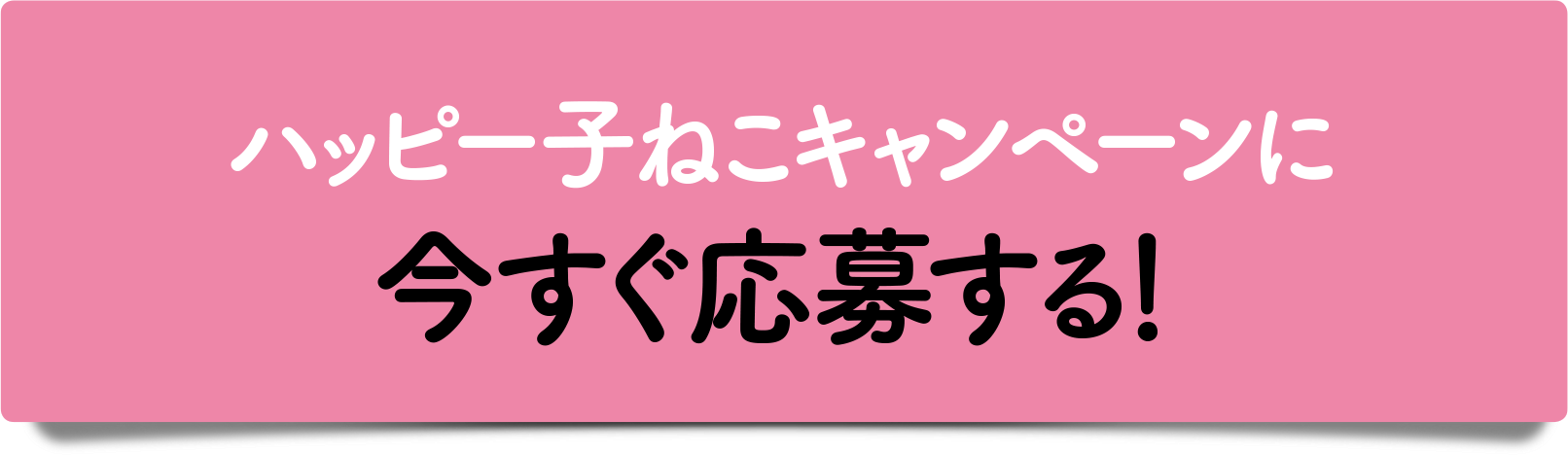 ハッピー子ねこキャンペーンに今すぐ応募する！