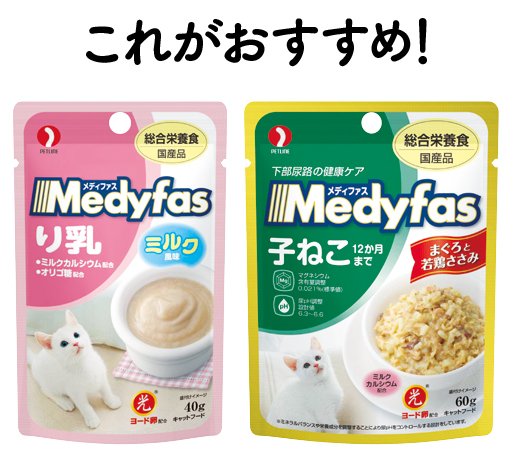 これがおすすめ！