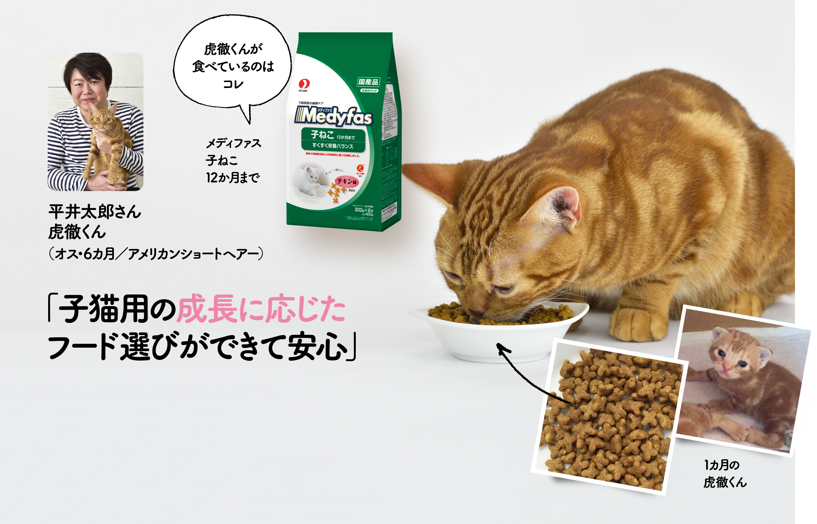 平井太郎さん虎徹くん（オス・6カ月／アメリカンショートヘアー）虎徹くんが食べているのはコレメディファス子ねこ12か月まで 「子猫用の成長に応じたフード選びができて安心」1カ月の虎徹くん