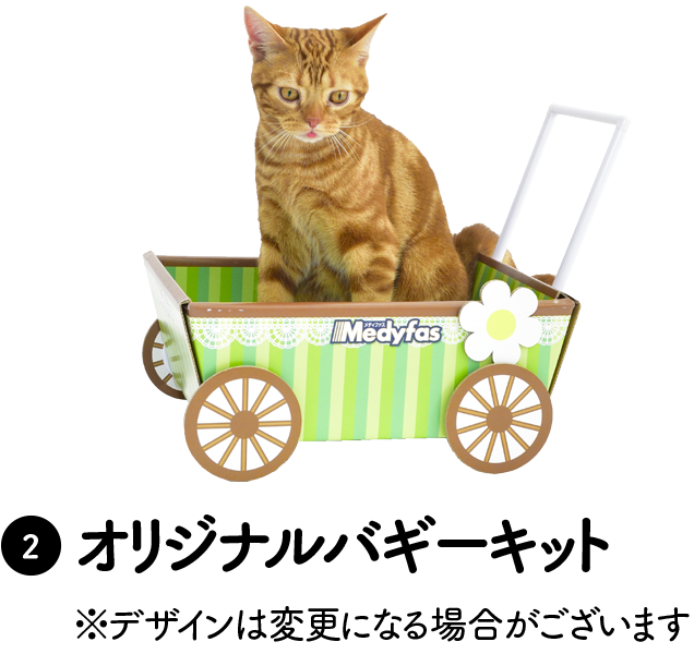 2 オリジナルバギーキット※デザインは変更になる場合がございます