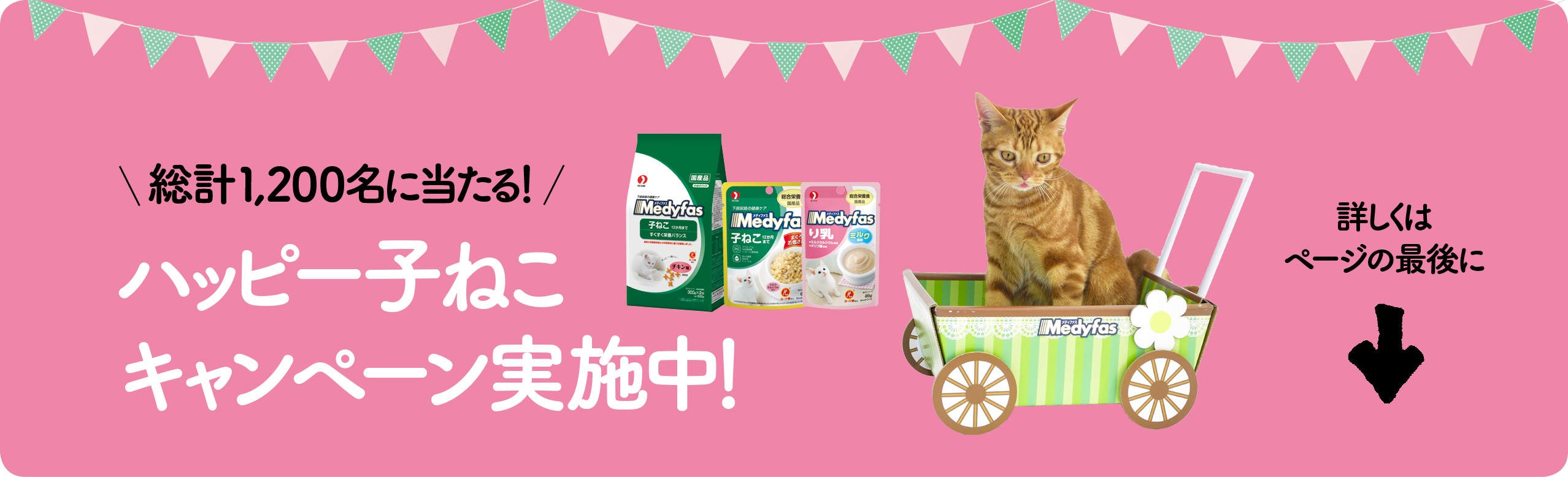 総計1,200名に当たる！ハッピー子ねこキャンペーン実施中！詳しくはージの最後に