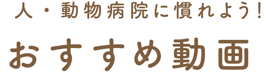 おすすめ動画