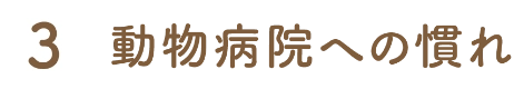 3・動物病院への慣れ