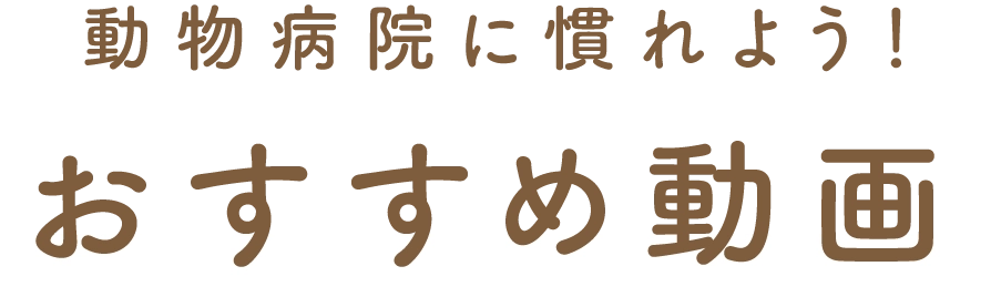 おすすめ動画