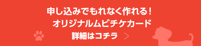 申し込みでもれなく作れる！オリジナルムビチケカード　詳細はコチラ