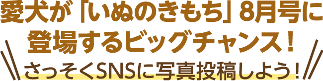 愛犬が「いぬのきもち」8月号に登場するビッグチャンス！　さっそくSNSに写真投稿しよう！