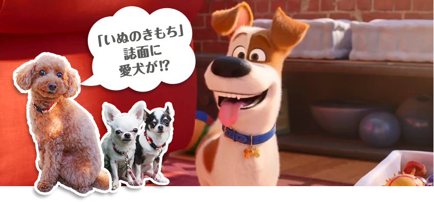 「いぬのきもち」誌面にに愛犬が！？