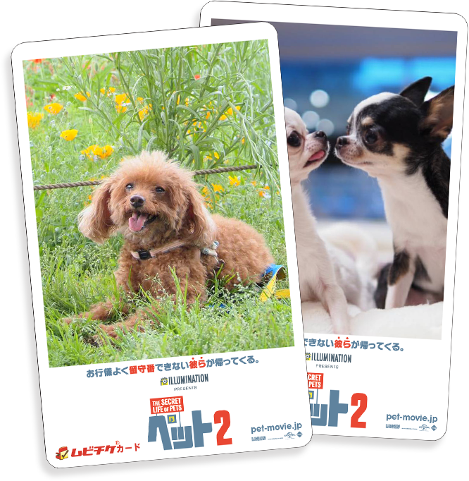 オリジナルムビチケカードイメージ