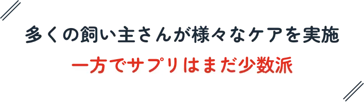 多くの飼い主さんが様々なケアを実施。一方でサプリはまだ少数派