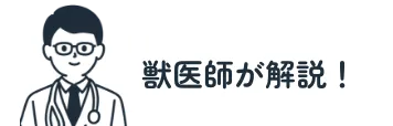 獣医師が解説！