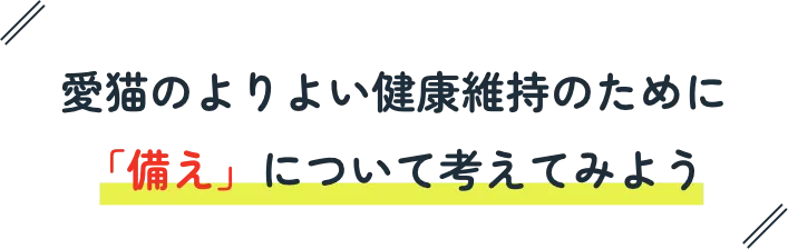 愛猫のよりよい健康維持のために「備え」について考えてみよう