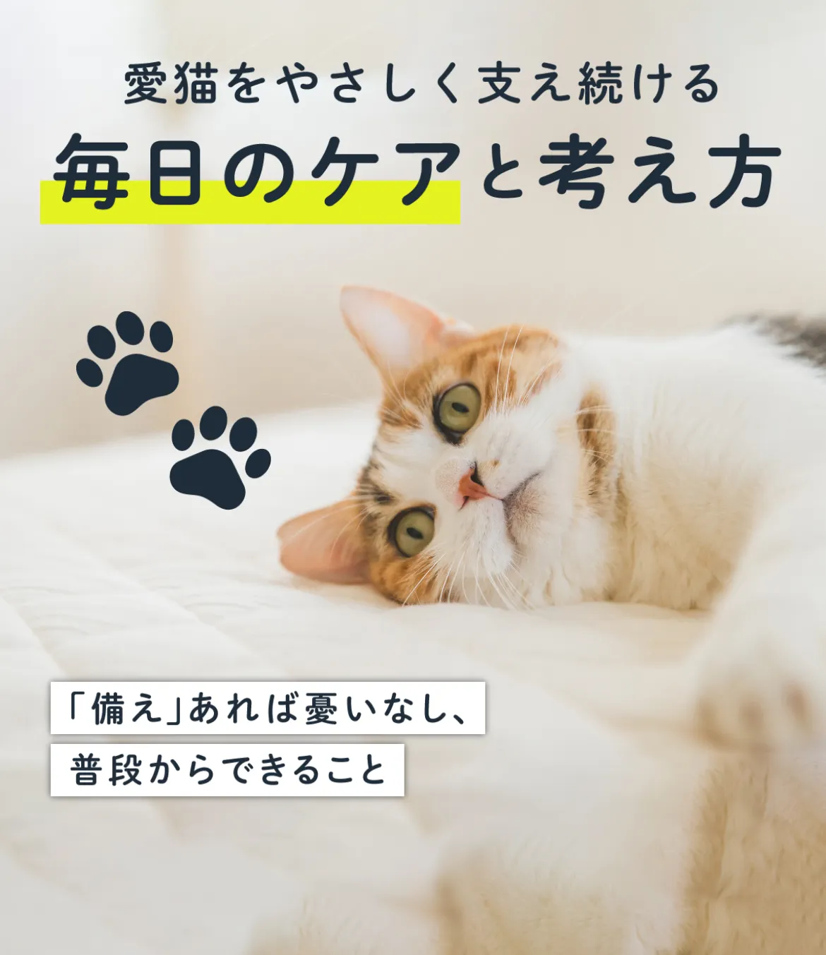 愛猫をやさしく支え続ける毎日のケアと考え方 -「備え」あれば憂いなし、普段からできること-