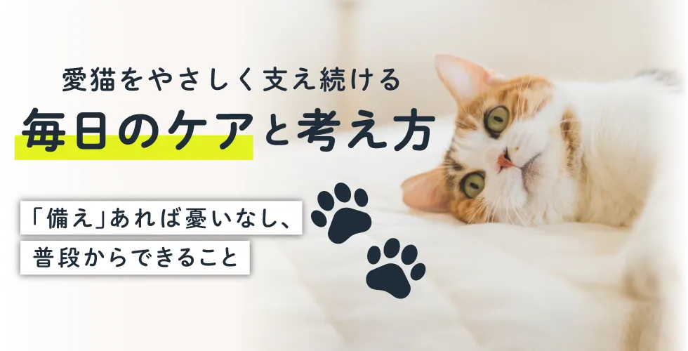 愛猫をやさしく支え続ける毎日のケアと考え方 -「備え」あれば憂いなし、普段からできること-