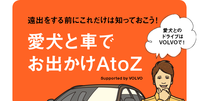 愛犬と車でお出かけatoz いぬのきもちweb ねこのきもちweb