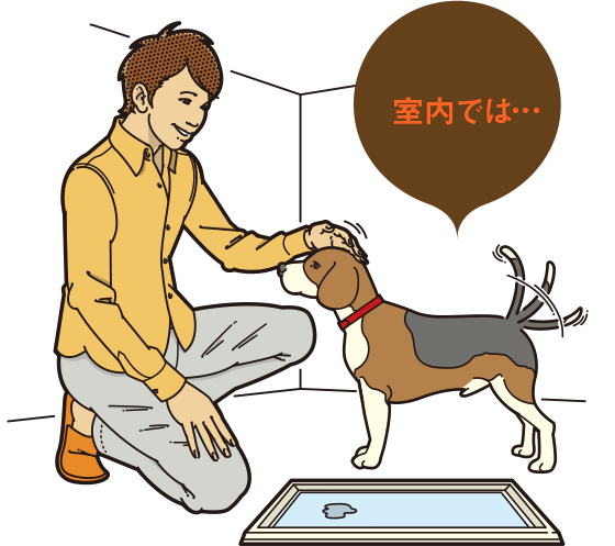 愛犬と車でお出かけatoz いぬのきもちweb ねこのきもちweb