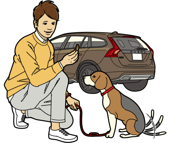 愛犬と車でお出かけatoz いぬのきもちweb ねこのきもちweb 愛犬と車でお出かけatoz いぬのきもちweb ねこのきもちweb