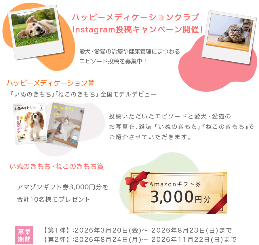 モデル募集