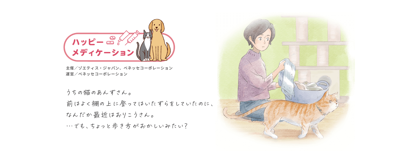 うちの猫のあんずさん。前はよく棚の上に登ってはいたずらをしていたのに、なんだか最近はおりこうさん。・・・でも、ちょっと歩き方がおかしいみたい？